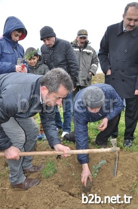 21-26 Mart Tarihleri Arasında Kutlanan Orman Haftası Etkinlikleri Fidan Dikim Ve Dağıtımı Faaliyetleri İle Başladı. İnegöl Orman İşletme Müdürü Muhammed Çolak, 2015 Yılı İçerisinde 150 Bin Fidanı Toprakla Buluşturmayı Hedeflediklerini Aktardı.