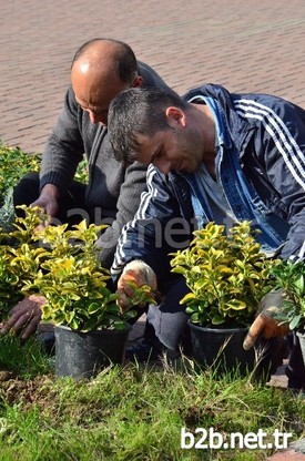 Bülent Ecevit Üniversitesi (beü), Türkiye’den 9 Üniversitenin Katıldığı Green Metric Üniversite Sürdürülebilirlik Derecelendirmesinde Türkiye Birincisi Oldu. Beü, En Çevreci Üniversite İddiasını, Derecelendirme Platformunun Değerlendirmesiyle Kanıtlamış Oldu.