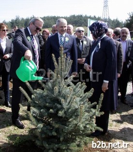 Törende Bin 500 Fıstık Çamı Toprakla Buluşturuldu.