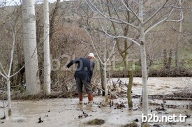 Kastamonu'nun Tosya İlçesinde Birkaç Gündür Etkili Olan Sağanak Yağış Nedeniyle Çeltik Tarlalarını Su Bastı.