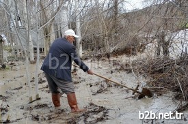 Kastamonu'nun Tosya İlçesinde Birkaç Gündür Etkili Olan Sağanak Yağış Nedeniyle Çeltik Tarlalarını Su Bastı.