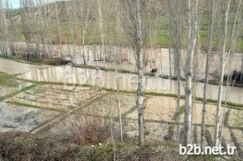 Kastamonu'nun Tosya İlçesinde Birkaç Gündür Etkili Olan Sağanak Yağış Nedeniyle Çeltik Tarlalarını Su Bastı.