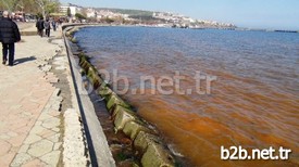Tekirdağ (iha) - Marmara Denizi’nde Görülen Kızıl Renk Değişimi Vatandaşları Şaşkına Çevirdi.