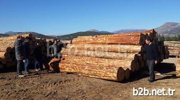 Isparta Orman Bölge Müdürlüğüne Bağlı Bucak Orman İşletme Müdürlüğü, Bu Yıl Ürettiği Orman Emvali İle Rekor Seviyeye Ulaştı.