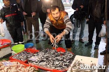 Karadeniz Ve Marmara’da Balık Çeşitliliğinin Artmasıyla Balık Fiyatlarının Düşmesi Hem Vatandaşı Hem De Satıcıyı Memnun Etti.