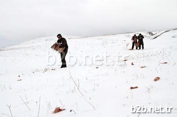 Ardahan’da Hava Sıcaklıklarının Düşmesi Ve Kar Yağışı Sebebiyle Yem Bulmakta Güçlük Çeken Yaban Hayvanları İçin Doğaya Yem Bırakıldı. Orman Ve Su İşleri Şube Müdürlüğü Ekipleri, Getirdikleri Buğday Ve Etleri 5 Ayrı Alana Bıraktı.