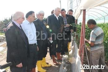 Ziraat Odaları Genel Başkanı Şemsi Bayraktar, Sel, Don Ve Fırtınadan Zarar Gören Antalya’nın Kumluca Finike Ve Demre İlçelerinde İncelemelerde Bulundu.