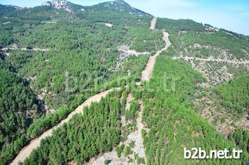 Manisa'daki Orman Varlığının Yüzde 34'e Ulaştığı Bildirildi.