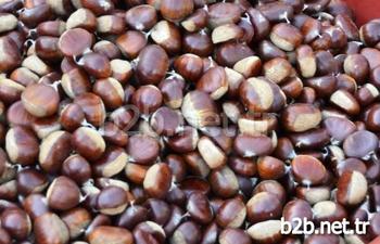 Yıllık 2 Bin 500 Tonluk Kapasitesiyle Ege Bölgesi'nin Önemli Kestane Üretim Merkezleri Arasında İlk Sıralarda Yer Alan Kütahya’nın Simav İlçesinde, Üretici Organik Kestanenin Fiyatına Zam Yaptı. Kestanenin Kilosu 10 Liradan 17 Liraya Çıktı.