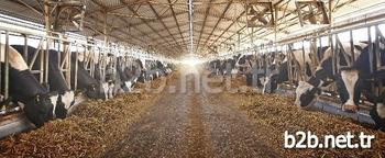 Süt Ve Süt Ürünlerinde Türkiye’nin İleri Gelen Markalarından Olan Sütaş, Kuruluşunun 40. Yılında Geleceğe Dair Hedeflerini Açıkladı.