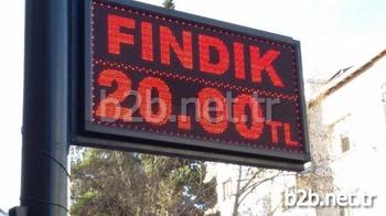 Bir Dönem Sorunlarla Anılan Fındık, Cumhuriyet Tarihinin En Üst Fiyatını Yakaladı. Ordu’da Randımansız Fındık 20 Liradan Alınmaya Başlandı