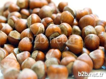 Tobb, Ordu Ticaret Borsası’nın Aylardır Gündeme Getirdiği Yeni Fındık Kanunu Raporunu Kabul Ederek, Resmiyet Kazandırdı. Tobb, Fındıktaki Sorunların Çözümüne Yönelik Yeni Bir Fındık Kanunu Gerektiğine İlişkin Dosya Ve Raporları İlgili Bakanlıklara Gönderdi.