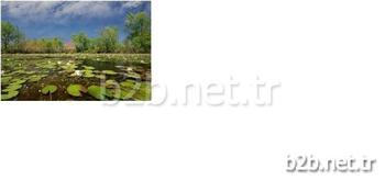 Orman Ve Su İşleri Bakanlığı 2. Bölge Müdürü Yahya Güngör, Ekolojik Denge İçin Önemli Olan Sulak Alanların İçinde Veya Çevresindeki Bütün Tesislerin Denetim Altında Tutulduğunu Söyledi.