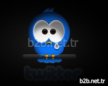 Kurulduğu Günden Bu Yana Hızla Büyüyen Twitter 2014 Yılında Yüzde 111 Büyümesine Karşın 578 Milyon Dolar Zarar Etti. Aktif Kullanıcı Sayısının İse Geçtiğimiz Yıllardaki Büyük Rakamların Aksine Sadece 2014 Yılı Son Çeyrekte Yüzde 1.4 Artması, Sosyal Medya Uzmanları Tarafından Kullanıcılarının İlgisinin Artık Başka Sosyal Ağlara Kaydığı Şeklinde Yorumlandı.