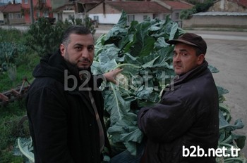 Yenişehir Ziraat Odası Başkanı Sadi Aktaş, Çiftçinin Sözleşmeli Tarıma Yönelmesi Gerektiğini Söyledi.