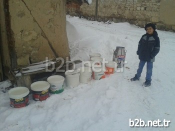 Bir Bardak Süt İçerken Şöyle Bir Düşünün