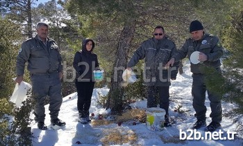 Mersin’in Mut İlçesinde, Orman Ve Su İşleri Bakanlığı, Vıı. Bölge Müdürlüğü Ve Mersin Mut Şube Müdürlüğünce Yabani Hayvanlar İçin Doğaya Yem Bıraktı.