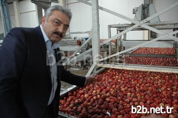 Karaman Ziraat Odası Yönetim Kurulu Başkanı Recep Muğlu, Elma Üreticisine 5 Yıldır Verilmeyen İhracat Teşvikinin Bu Yılda Umutsuz Göründüğünü Söyledi.