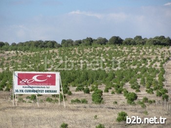 Orman Ve Su İşleri Bakanlığı, Orman Genel Müdürlüğü (ogm), Adını Ölümsüzleştirmek İsteyen Kişi Ve Kuruluşlar Adına Fidan Dikerek Hatıra Ormanı Kurmaya Devam Ediyor.