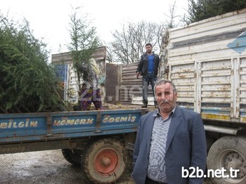 Aksaray’da Esnaflık Yapan Cemal Sanlav (52) Da Fidancılık Ve Süs Bitkileri Üretiminin Merkezi Ödemiş’in Fidanlarını 15 Yıldır Memleketine Taşıyor.