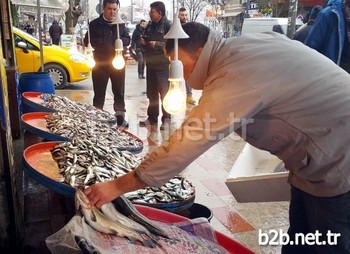 Hava Muhalefeti Nedeniyle Kilosu 20 Tl’nin Üzerine Çıkan Hamsi, Sezon Sonuna Yaklaşılırken, Yeniden 10 Tl Civarında Satılmaya Başlandı.