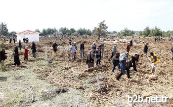 Denizli Büyükşehir Belediyesi, 21-26 Mart Orman Haftası Dolayısıyla ‘ağaç Dikim Günleri’ Düzenliyor.