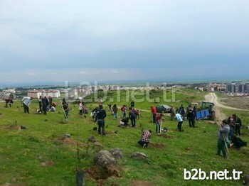 Mkü Stratejik Düşünce Topluluğu, Yaklaşmakta Olan Kutlu Doğum Haftası Hasebiyle Kampüs İçinde 571 Fidan Dikimi Gerçekleştirdi. Fidan Dikimine Akademisyenler Ve Öğrenciler Yoğun Katılım Gösterdi.