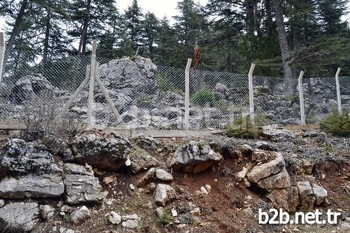 Antalya, Burdur Ve Denizli İllerine Özgü Bir Endemik Çiçek Olan Şakayık (paeoniaturcica) Doğal Yaşam Alanında Koruma Altına Alındı.