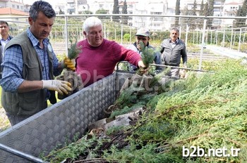 Fidanlıkta Yetiştirilen Fidanlar Halka Dağıtılıyor.