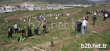 Törende Bin 500 Fıstık Çamı Toprakla Buluşturuldu.